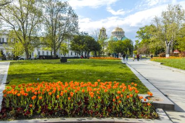 SOFYA, BULGARIA - 1 Mayıs 2022: Bulgaristan 'ın Sofya kentindeki Bahçe Saint Kliment Ohridski' nin bahar manzarası