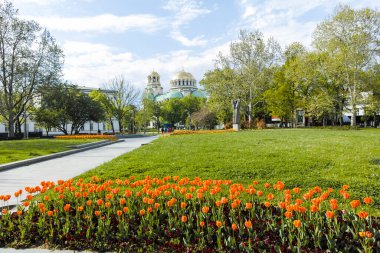 SOFYA, BULGARIA - 1 Mayıs 2022: Bulgaristan 'ın Sofya kentindeki Bahçe Saint Kliment Ohridski' nin bahar manzarası