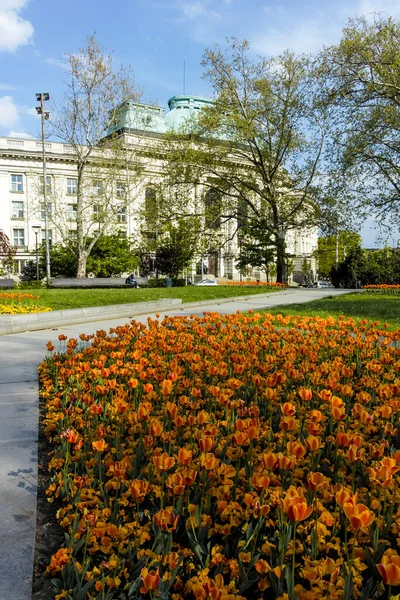 Sofia Bulgarie 1Er Mai 2022 Vue Printanière Université Sofia Kliment — Photo