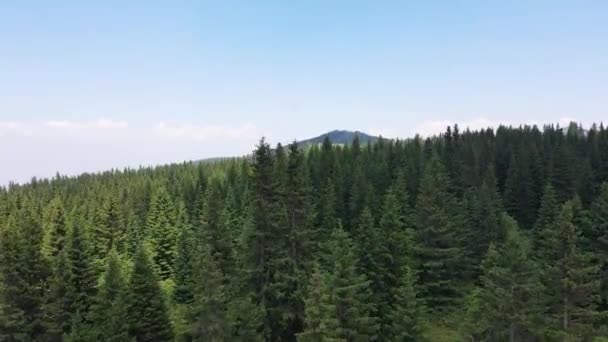 Vista Aérea Área Konyarnika Montanha Vitosha Região Cidade Sófia Bulgária — Vídeo de Stock