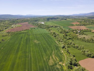 Bulgaristan 'ın Sofya bölgesindeki Godech kasabası yakınlarındaki kırsal arazinin bahar havası manzarası