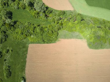 Bulgaristan 'ın Sofya bölgesindeki Godech kasabası yakınlarındaki kırsal arazinin bahar havası manzarası