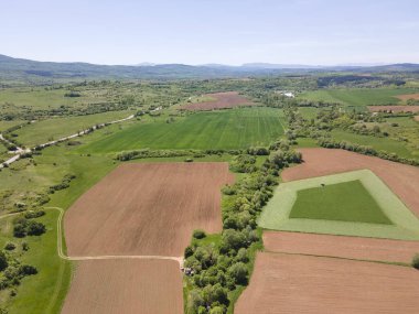 Bulgaristan 'ın Sofya bölgesindeki Godech kasabası yakınlarındaki kırsal arazinin bahar havası manzarası