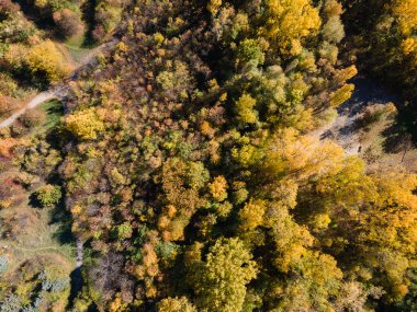 Bulgaristan 'ın Sofya kentindeki South Park' ın şaşırtıcı Sonbahar manzarası