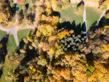 Bulgaristan 'ın Sofya kentindeki South Park' ın şaşırtıcı Sonbahar manzarası