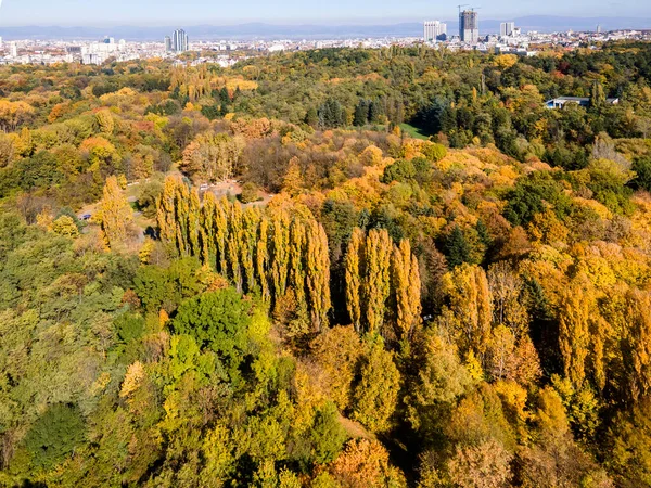 Vista Aérea Surpreendente Outono South Park Cidade Sofia Bulgária — Fotografia de Stock