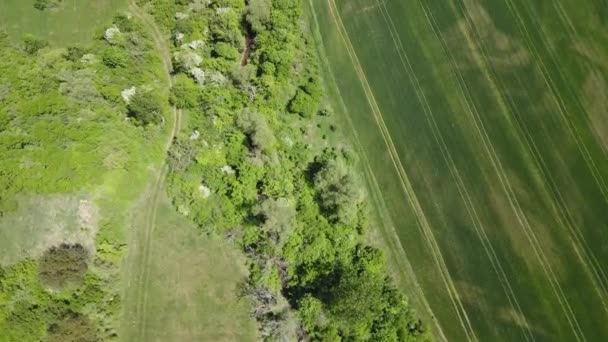 ブルガリア ソフィア地方ゴデシュ町付近の田園風景 — ストック動画