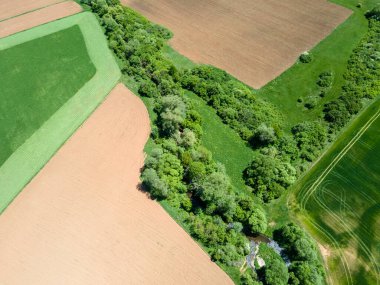 Bulgaristan 'ın Sofya bölgesindeki Godech kasabası yakınlarındaki kırsal arazinin bahar havası manzarası