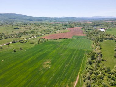 Bulgaristan 'ın Sofya bölgesindeki Godech kasabası yakınlarındaki kırsal arazinin bahar havası manzarası