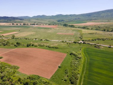 Bulgaristan 'ın Sofya bölgesindeki Godech kasabası yakınlarındaki kırsal arazinin bahar havası manzarası