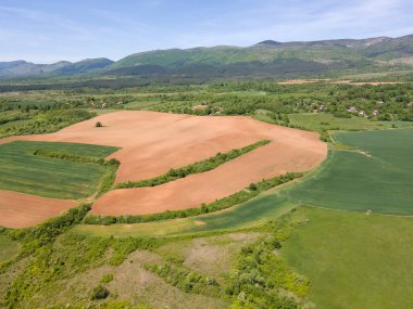 Bulgaristan 'ın Sofya bölgesindeki Godech kasabası yakınlarındaki kırsal arazinin bahar havası manzarası