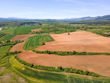 Bulgaristan 'ın Sofya bölgesindeki Godech kasabası yakınlarındaki kırsal arazinin bahar havası manzarası