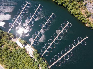 Krichim Reservoir, Rhodopes Dağı, Filibe Bölgesi, Bulgaristan