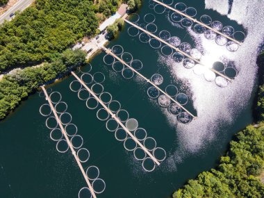 Krichim Reservoir, Rhodopes Dağı, Filibe Bölgesi, Bulgaristan