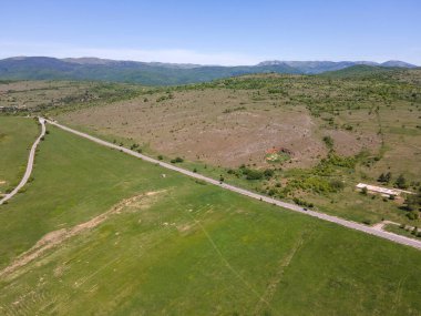 Bulgaristan 'ın Sofya bölgesindeki Godech kasabası yakınlarındaki kırsal arazinin bahar havası manzarası