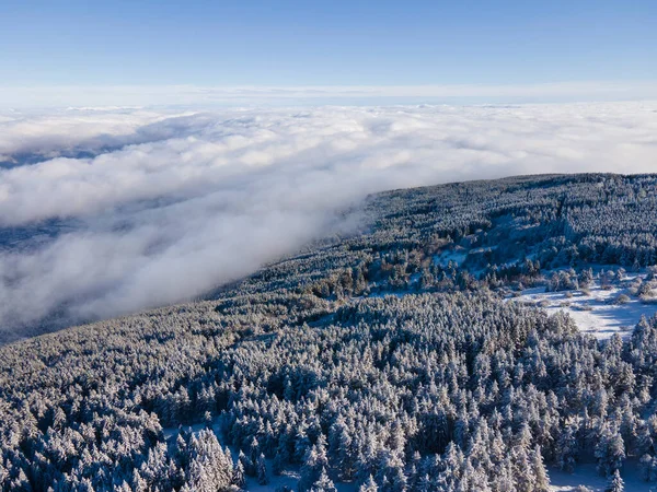 Zimowy Widok Lotu Ptaka Górę Vitosha Obwód Sofijski Bułgaria — Zdjęcie stockowe