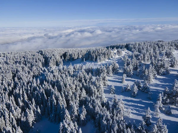 Légi Téli Kilátás Vitosha Mountain Szófia City Region Bulgária — Stock Fotó