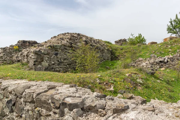 Ερπετά Του Αρχαίου Φρουρίου Βίσεγκραντ Στη Νότια Ακτή Της Δεξαμενής — Φωτογραφία Αρχείου