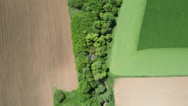 Ανοιξιάτικη Αεροφωτογραφία Της Αγροτικής Γης Κοντά Στην Πόλη Godech Περιφέρεια — Αρχείο Βίντεο