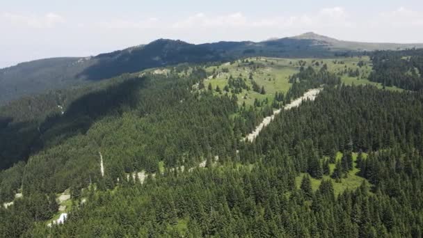 Flygfoto Över Konyarnika Området Vitosha Mountain Sofia City Region Bulgarien — Stockvideo