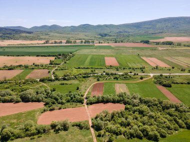 Bulgaristan 'ın Sofya bölgesindeki Godech kasabası yakınlarındaki kırsal arazinin bahar havası manzarası