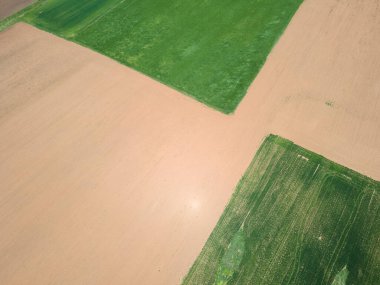 Bulgaristan 'ın Sofya bölgesindeki Godech kasabası yakınlarındaki kırsal arazinin bahar havası manzarası