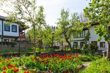 TRYAVNA, BULGARIA - 1 Mayıs 2021: Bulgaristan 'ın eski Tryavna kentindeki Tipik sokak ve Ninetenth Century Evleri