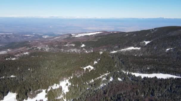 Bulgaristan Sofya Şehir Bölgesi Ofeliite Bölgesindeki Vitosha Dağı Nın Hava — Stok video