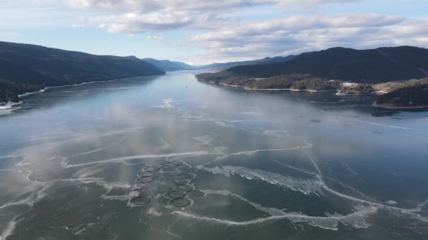 Αεροφωτογραφία Χειμώνα Του Dospat Reservoir Καλύπτονται Πάγο Smolyan Region Βουλγαρία — Αρχείο Βίντεο