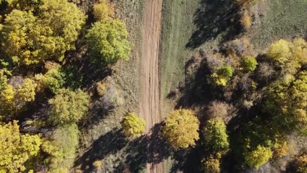 Herfst Landschap Van Cherna Gora Monte Negro Berg Pernik Regio — Stockvideo