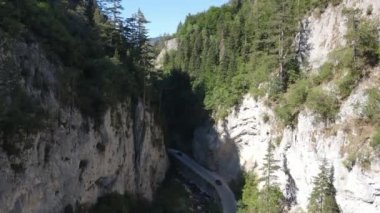 Bulgaristan 'ın Smolyan Bölgesi, Rodop Dağları' ndaki Trigrad Boğazı 'nın hava manzarası