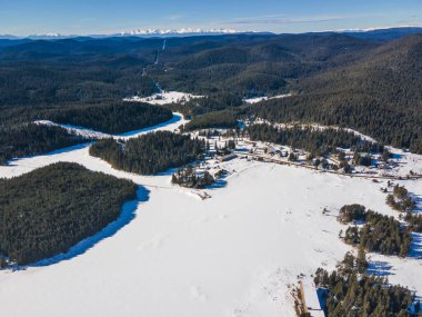 Bulgaristan 'ın Buzdan Pazardzhik Bölgesi ile kaplı Shiroka polyana' nın (geniş çayır) kış manzarası