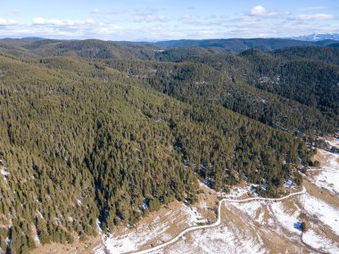 Bulgaristan 'ın Buzdan Pazardzhik Bölgesi ile kaplı Shiroka polyana' nın (geniş çayır) kış manzarası