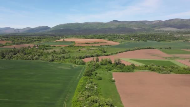 Ανοιξιάτικη Αεροφωτογραφία Της Αγροτικής Γης Κοντά Στην Πόλη Godech Περιφέρεια — Αρχείο Βίντεο