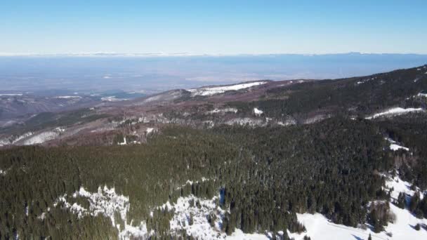 Vista Aérea Inverno Montanha Vitosha Área Ofeliite Região Cidade Sófia — Vídeo de Stock