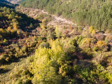 Nishava nehri boğazının havadan sonbahar manzarası, Balkan Dağları, Bulgaristan