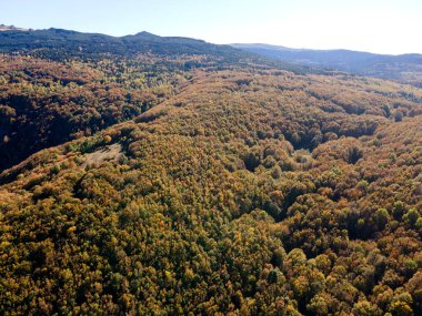 Bulgaristan 'ın Kopititoto bölgesi ve Sofya kentindeki Vitosha Dağı' nın Sonbahar havası manzarası
