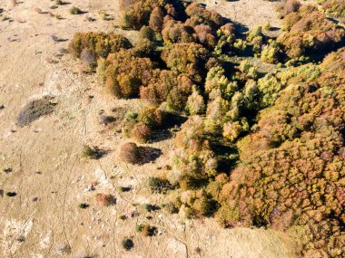 Bulgaristan 'ın Kopititoto bölgesi ve Sofya kentindeki Vitosha Dağı' nın Sonbahar havası manzarası