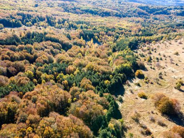 Bulgaristan 'ın Kopititoto bölgesi ve Sofya kentindeki Vitosha Dağı' nın Sonbahar havası manzarası