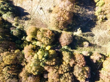 Bulgaristan 'ın Kopititoto bölgesi ve Sofya kentindeki Vitosha Dağı' nın Sonbahar havası manzarası