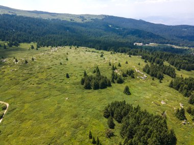 Bulgaristan 'ın Sofya Şehir Bölgesi, Vitosha Dağı' ndaki Konyarnika bölgesinin havadan görüntüsü