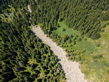 Bulgaristan 'ın Sofya Şehir Bölgesi, Vitosha Dağı' ndaki Konyarnika bölgesinin havadan görüntüsü