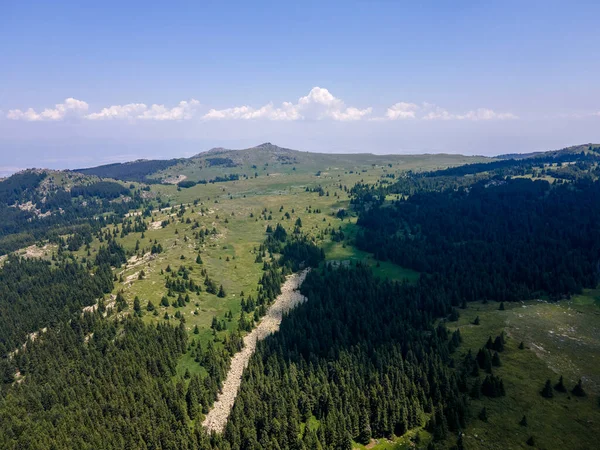 Aerial View Konyarnika Area Vitosha Mountain Sofia City Region Bulgaria — Stock Photo, Image