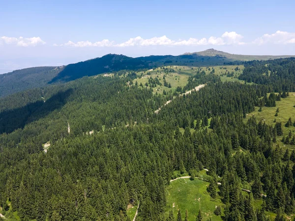 Vue Aérienne Région Konyarnika Montagne Vitosha Région Sofia Bulgarie — Photo