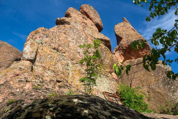 Incredibile Vista Belogradchik Rocks Regione Vidin Bulgaria — Foto Stock