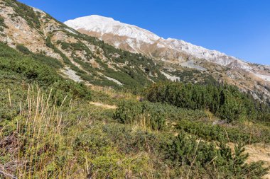 Bulgaristan 'ın Pirin Dağı' ndaki Banderitsa Nehri yakınlarındaki İnanılmaz Sonbahar Manzarası
