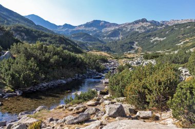 Bulgaristan 'ın Pirin Dağı' ndaki Banderitsa Nehri yakınlarındaki İnanılmaz Sonbahar Manzarası