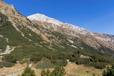 Amazing Autumn Landscape near Banderitsa River at Pirin Mountain, Bulgaria