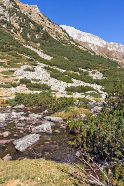 Bulgaristan 'ın Pirin Dağı' ndaki Banderitsa Nehri yakınlarındaki İnanılmaz Sonbahar Manzarası