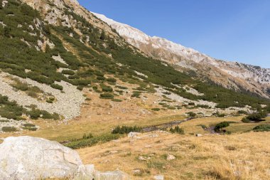 Bulgaristan 'ın Pirin Dağı' ndaki Banderitsa Nehri yakınlarındaki İnanılmaz Sonbahar Manzarası